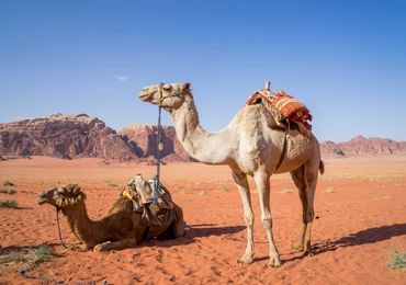 Jaipur Jodhpur Jaisalmer Tour