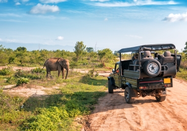 Udaipur Chittorgarh Ranthambhore Tour Package
